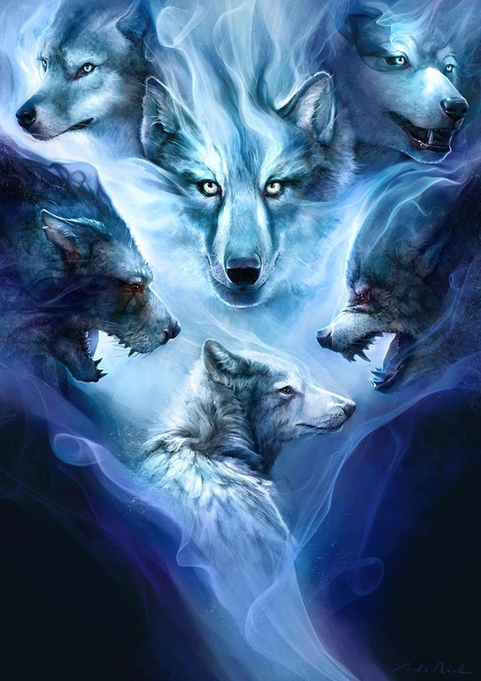 fantasy art wolf