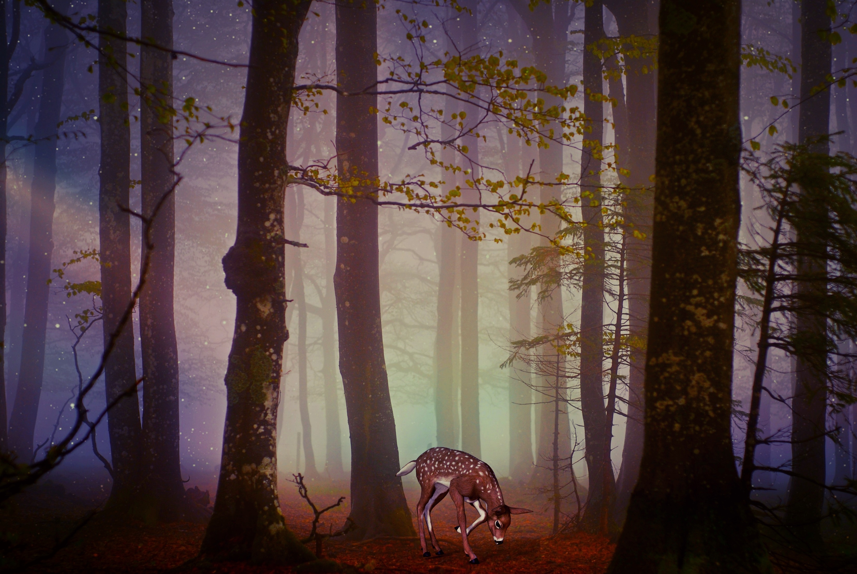 A Deer in a misty forest