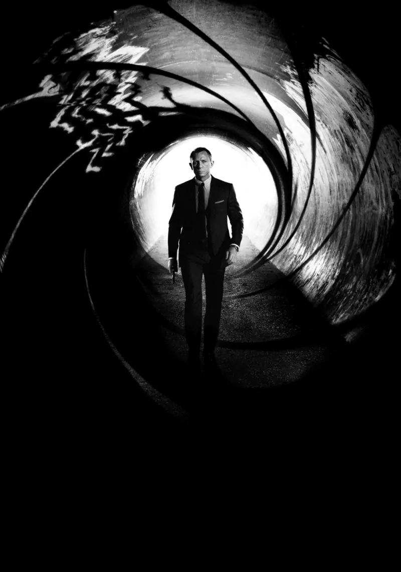 movie Skyfall Image