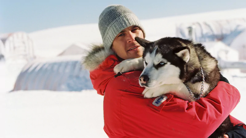movie Eight Below Image