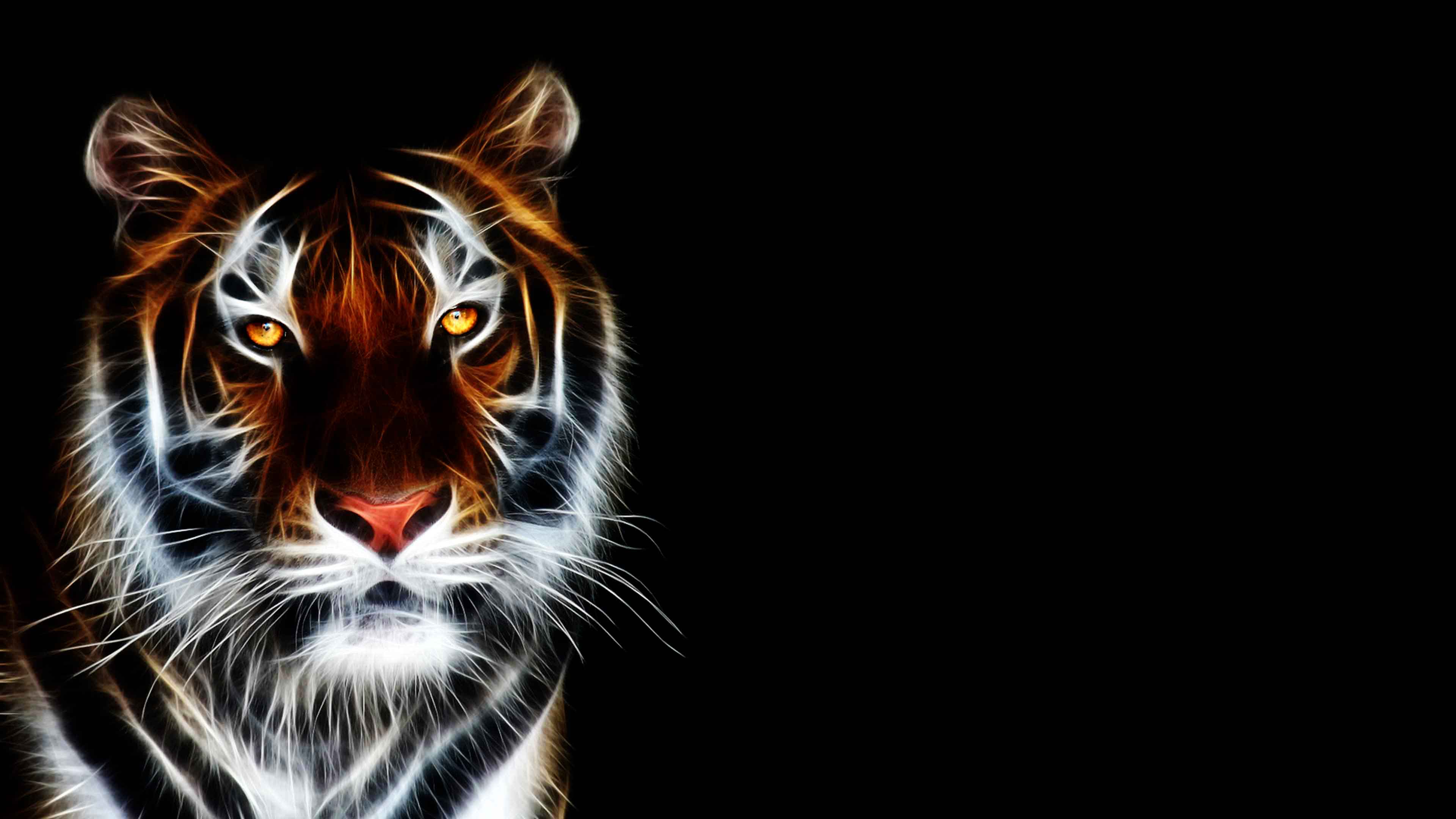 Tiger Art