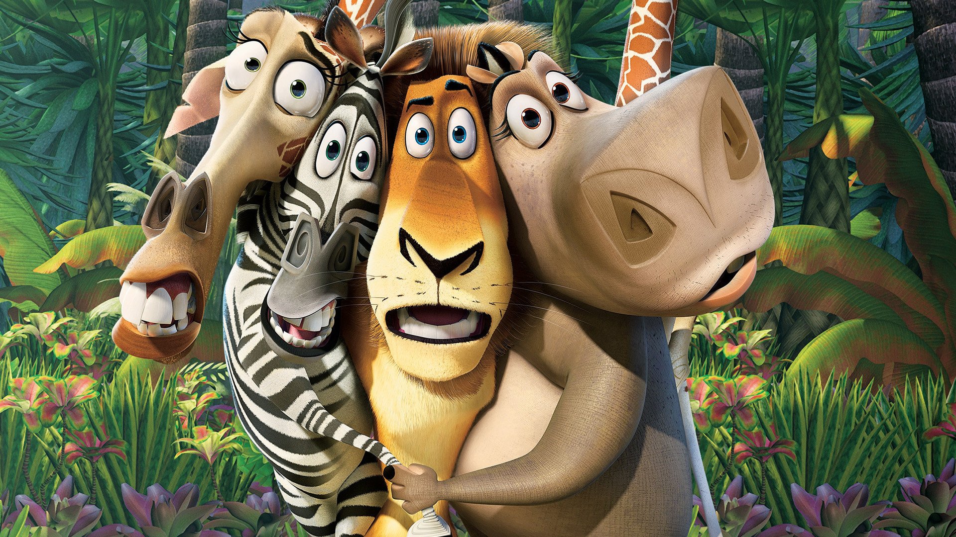 Download Movie Madagascar Art