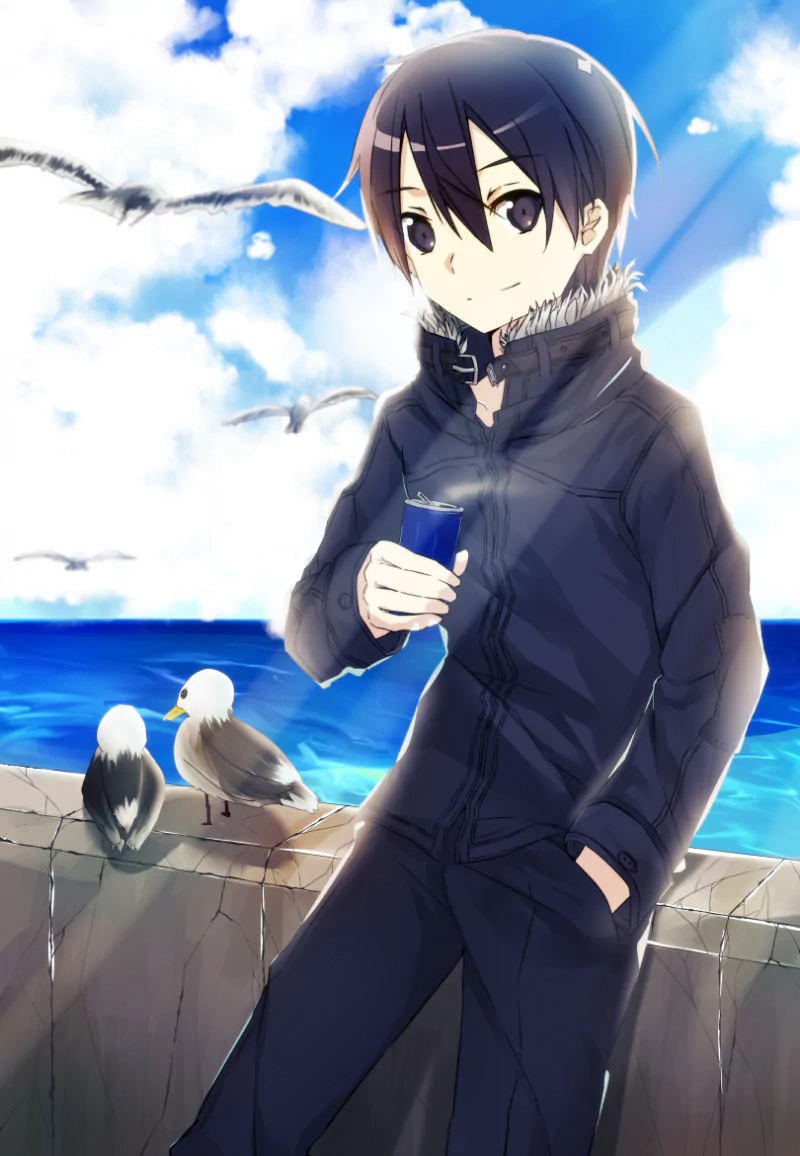 Kazuto Kirigaya Anime Sword Art Online Image