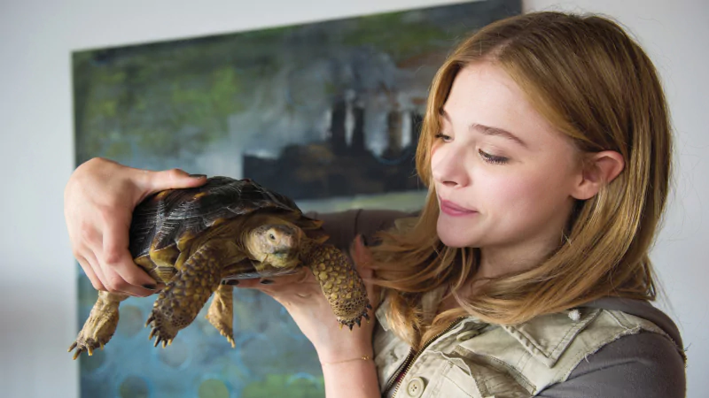 movie Laggies Image