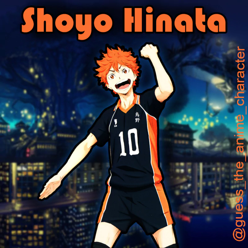  Hinata Shoyo