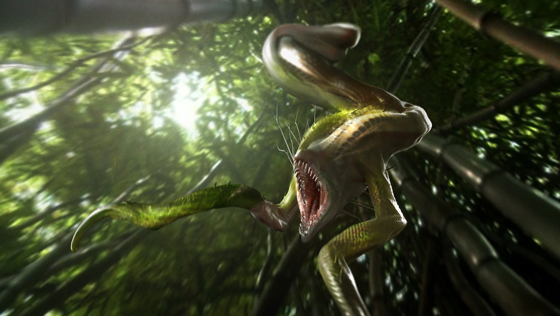 1920x1084, image size:1920x1084