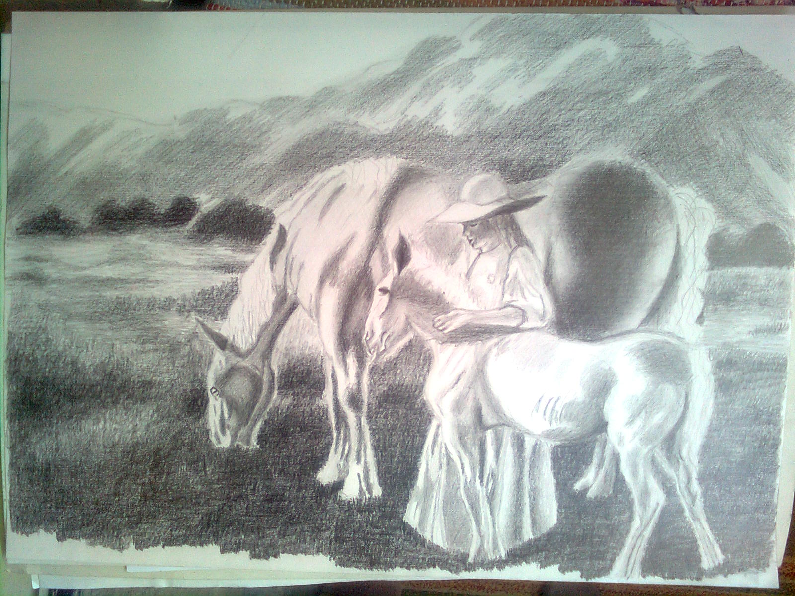 Horses by cristinasandu25
