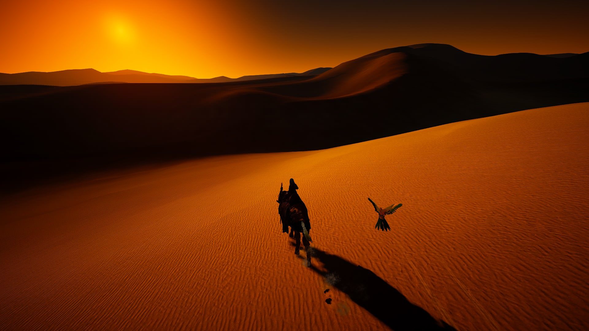 Trek through the Desert