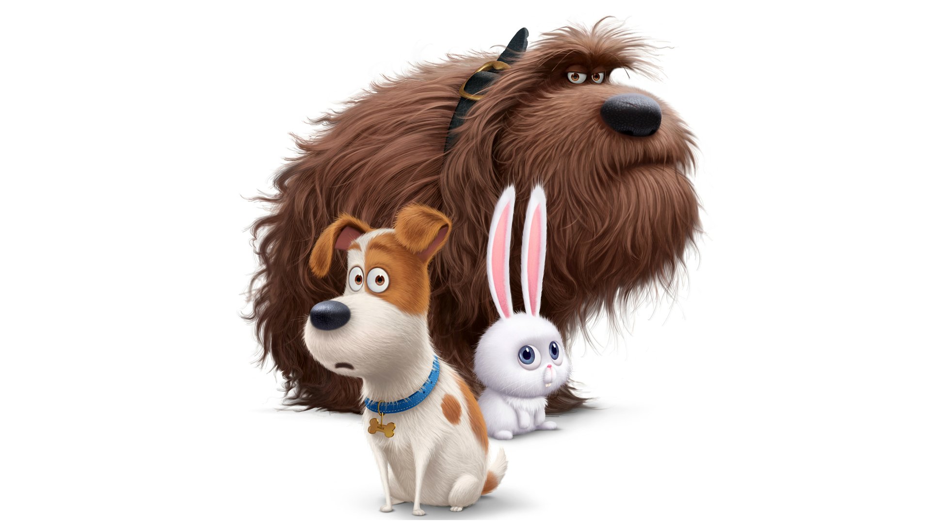 Download Movie The Secret Life Of Pets Art