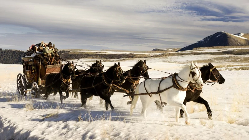 movie The Hateful Eight Image
