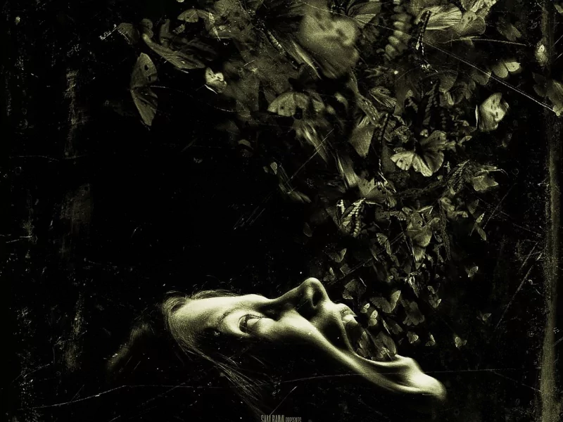 movie The Possession Image