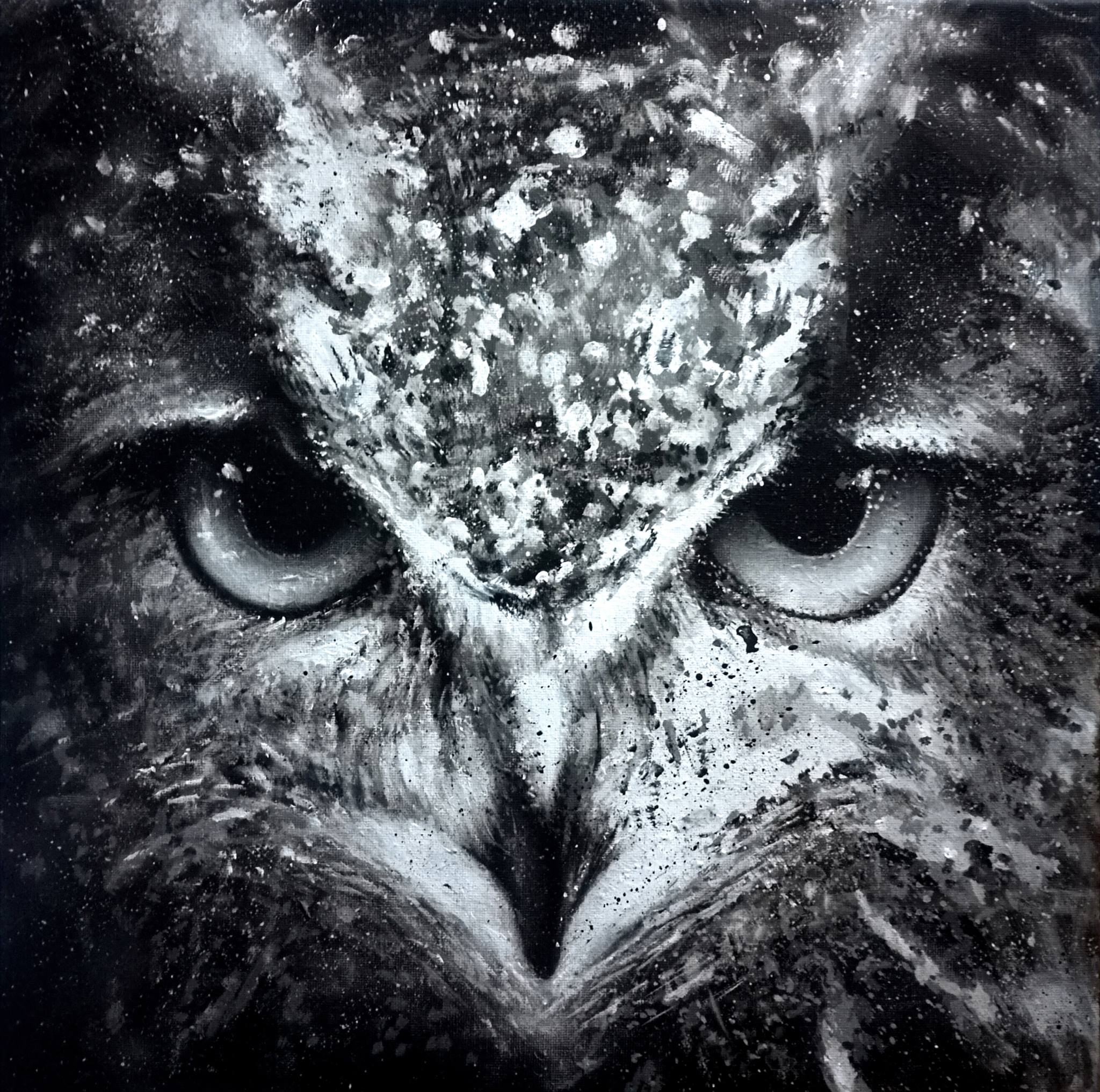 Animal Owl Art