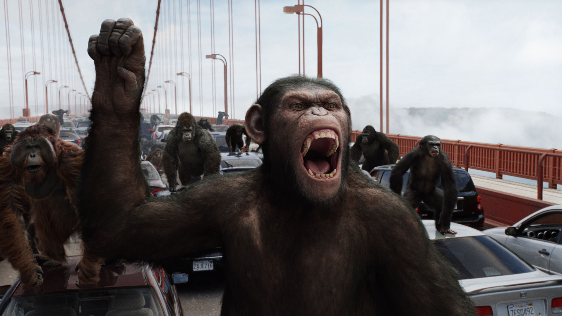 Rise Of The Planet Of The Apes Art
