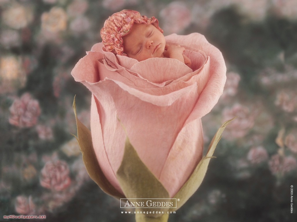 Sweet Baby Girl in a Tulip by Anne Geddes