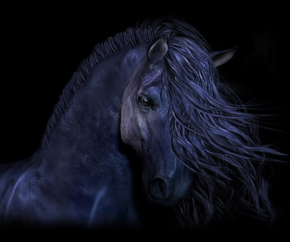 black-horse-art-id-105107