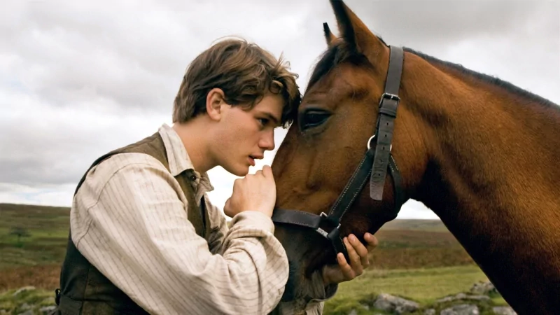movie War Horse Image