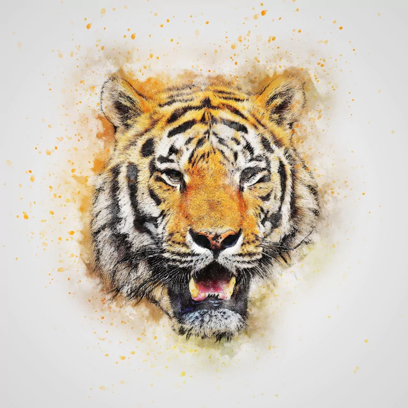  Watercolor Tiger Art
