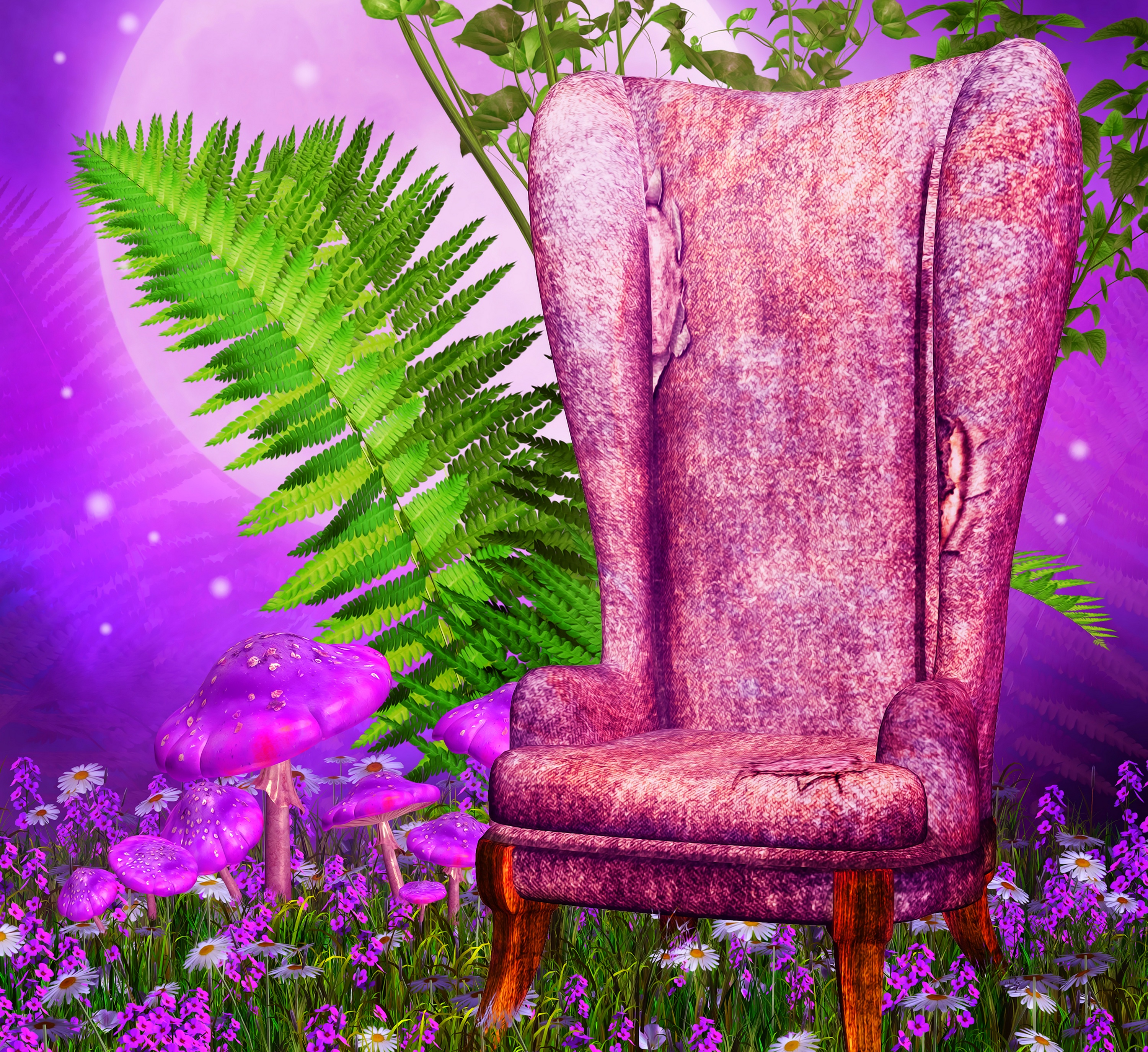 Chair in Enchanted Forest