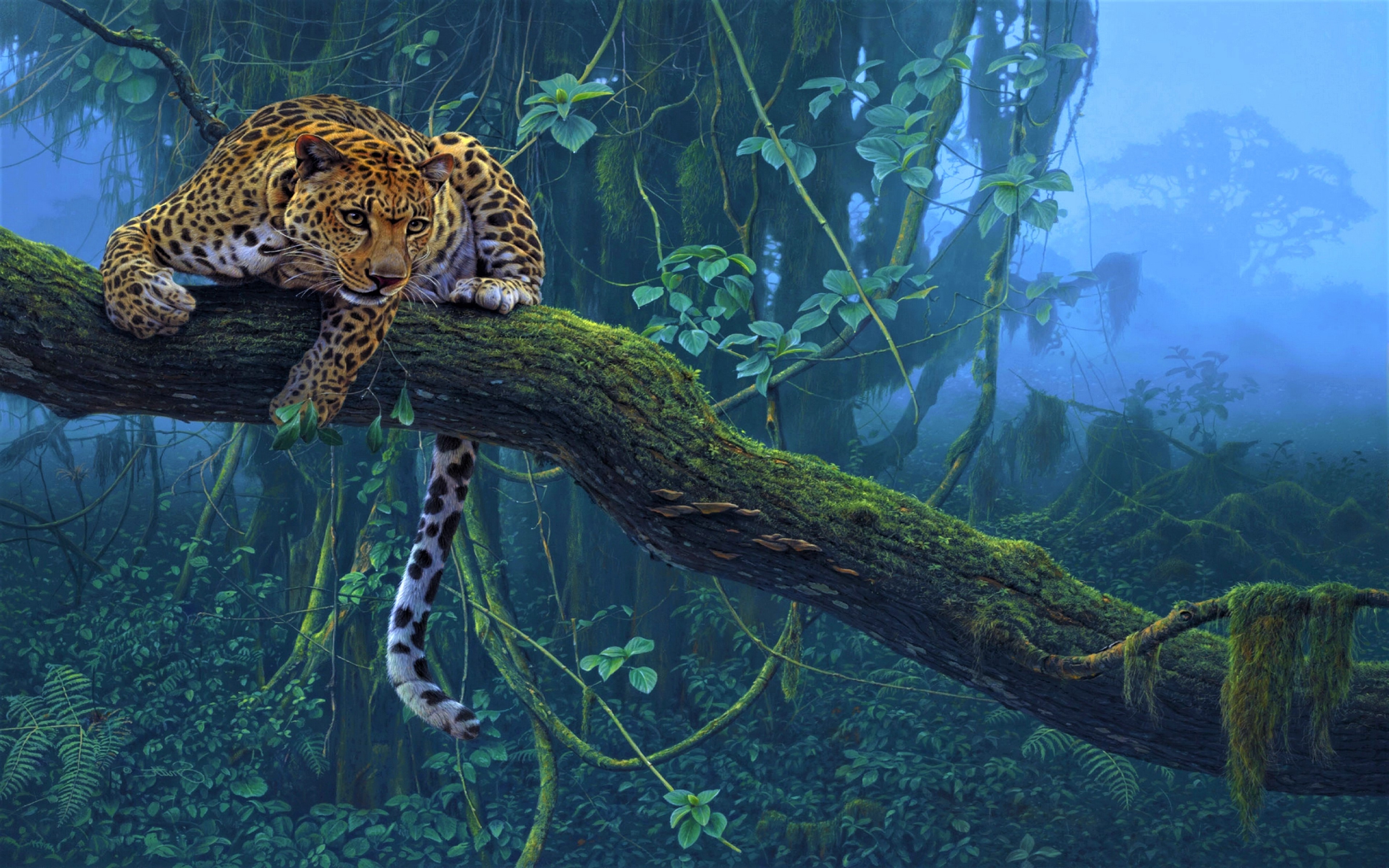 Jaguar in Misty Jungle