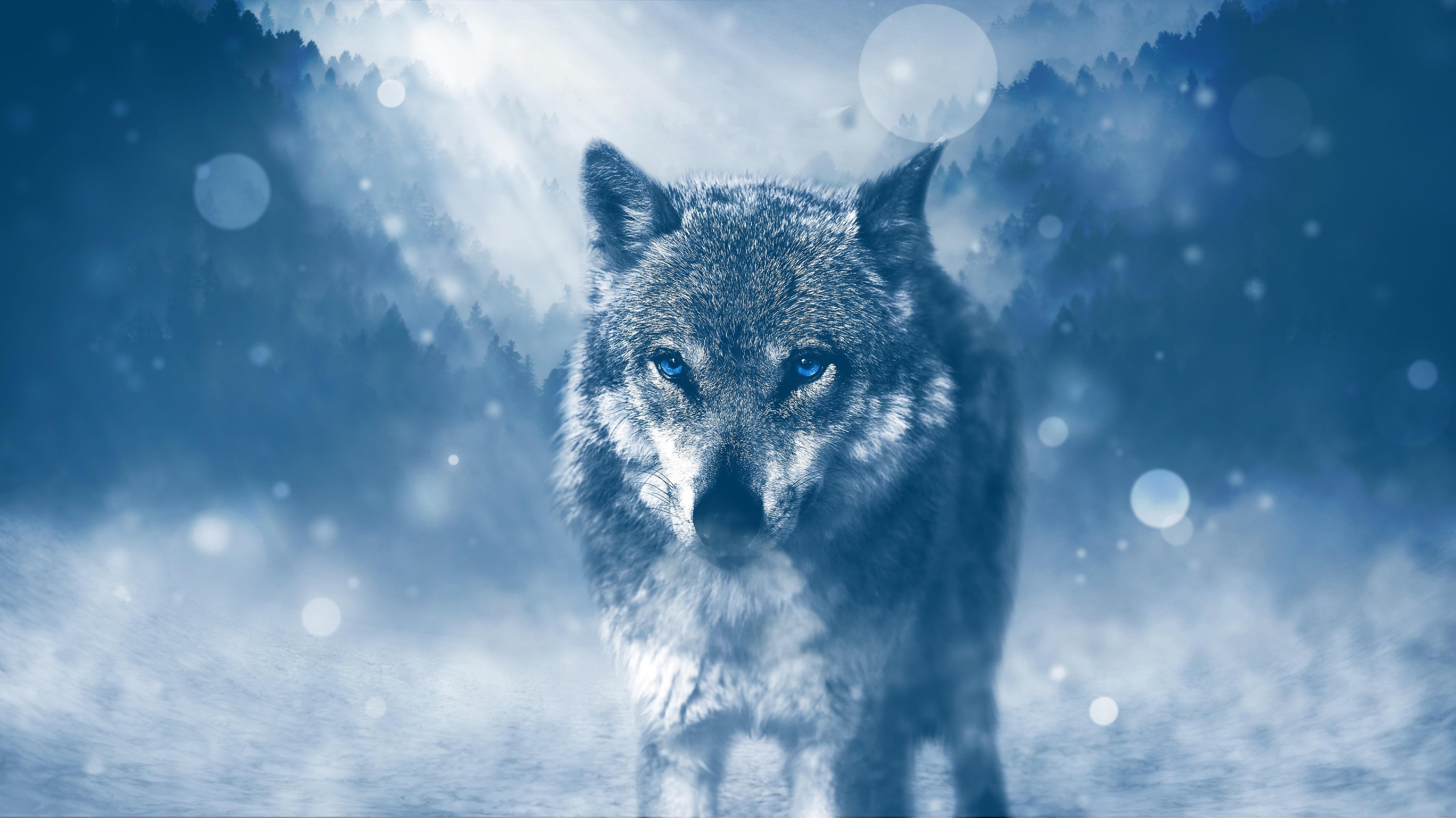 wolf-art-id-108550