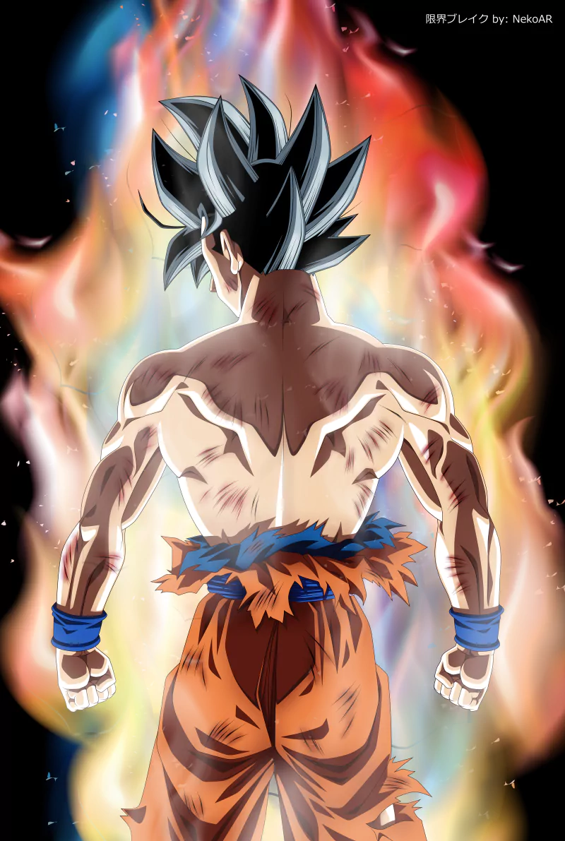 Goku stands with his back to the viewer, muscles defined, surrounded by vibrant flames, embodying the power and intensity of Dragon Ball Super.