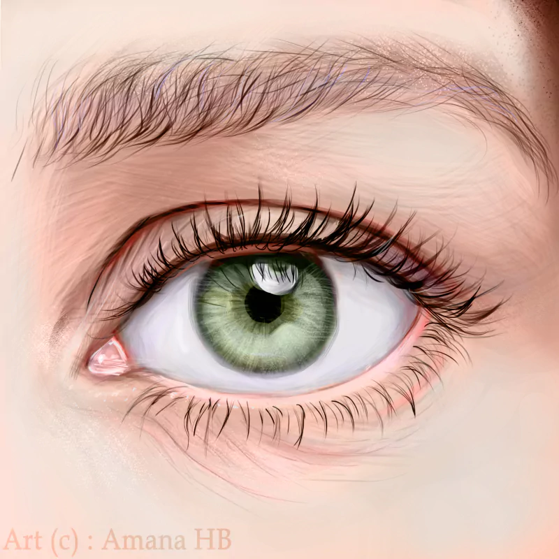  Realistic Eye Drawing