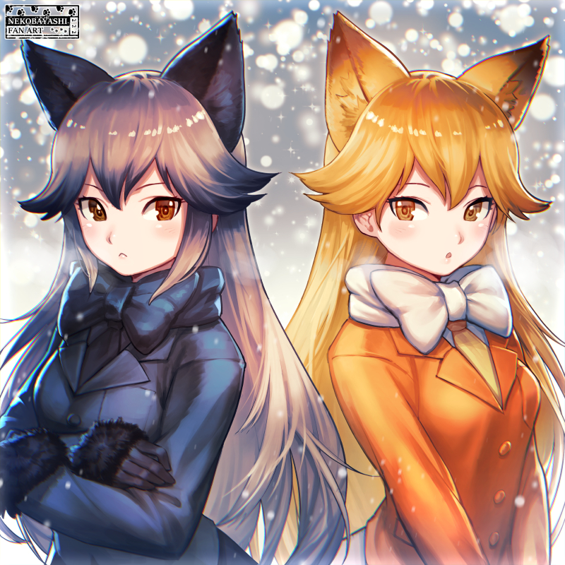 Red and Silver Fox by ねこ林