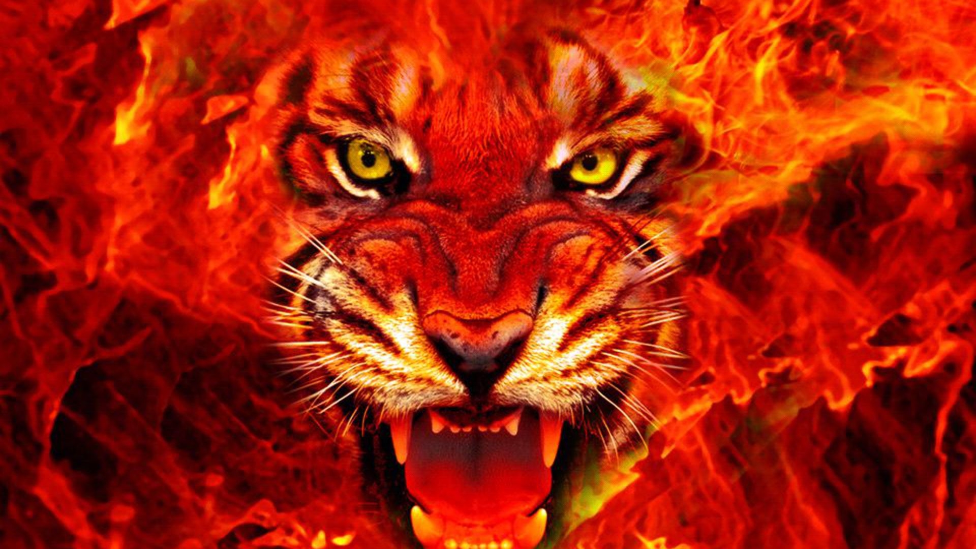 Fiery Tiger