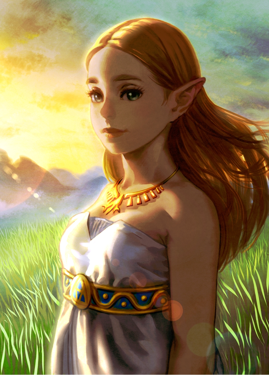 The Legend of Zelda: Breath of the Wild Art by UG