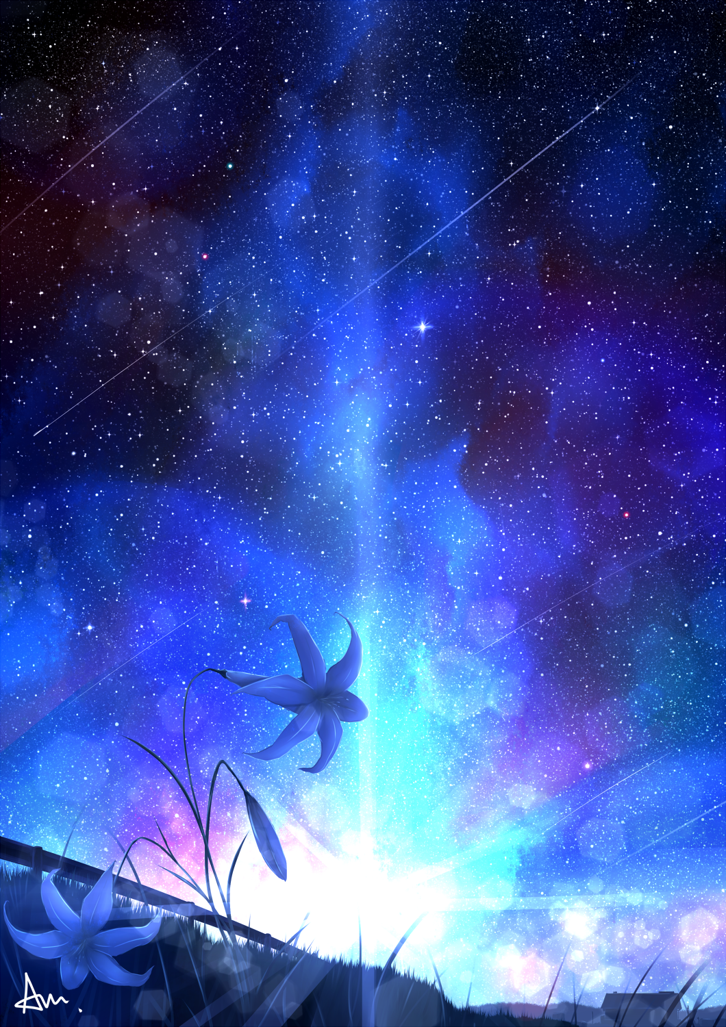Flowers Under a Starry Sky by 縹 京介/ALPCMAS