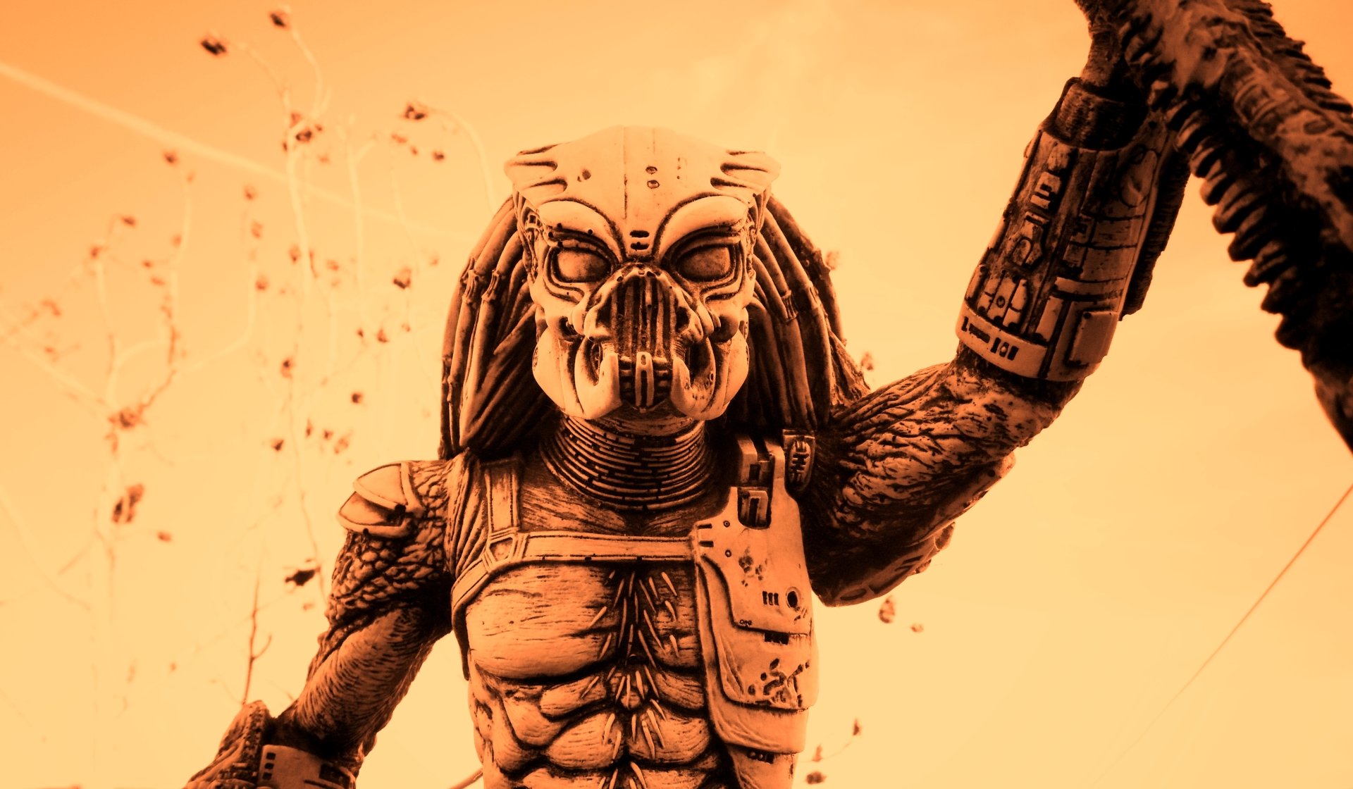 Predator by Mike Navolta