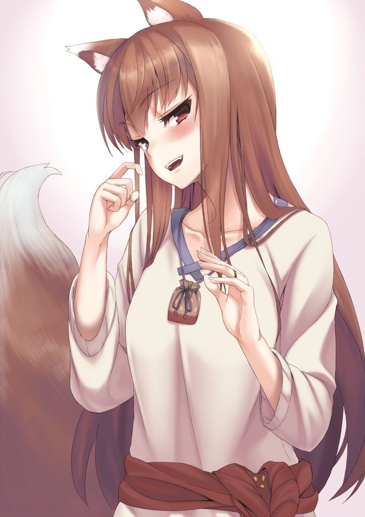 Download Holo (Spice & Wolf) Anime Spice And Wolf Art