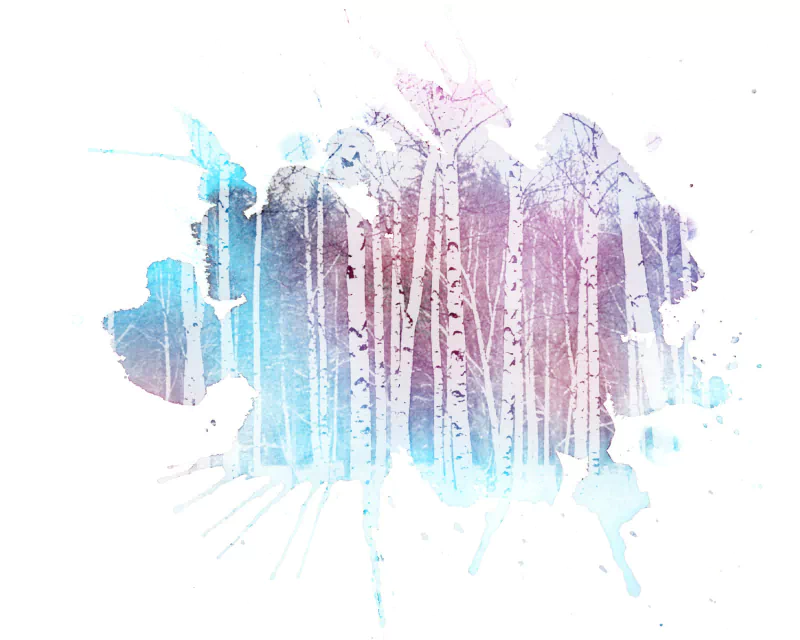  Watercolor Birch Forest
