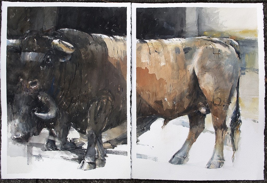 Download Animal Bull Art