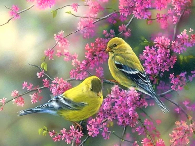bird artistic painting Image
