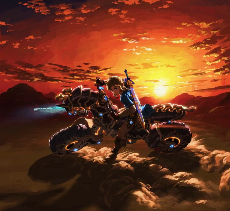  Link on a Motorcycle