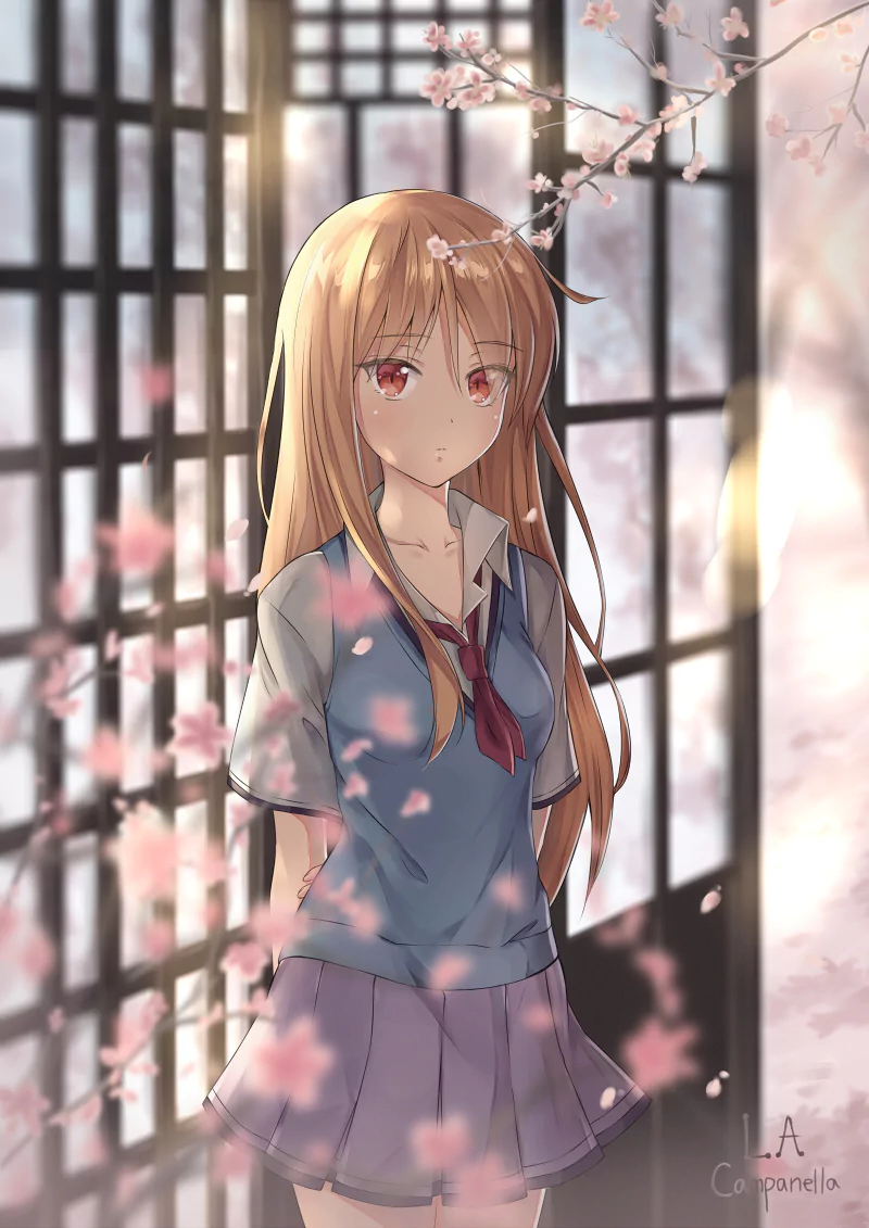 A serene scene featuring Mashiro Shiina from Sakurasou no Pet na Kanojo, standing amidst cherry blossoms and framed by traditional lattice windows.