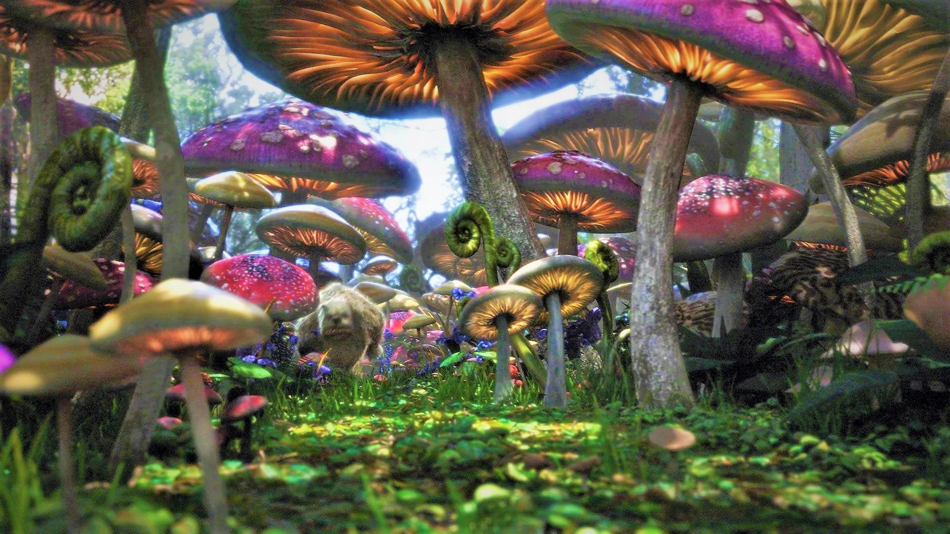Mushroom Forest from "Alice in Wonderland"