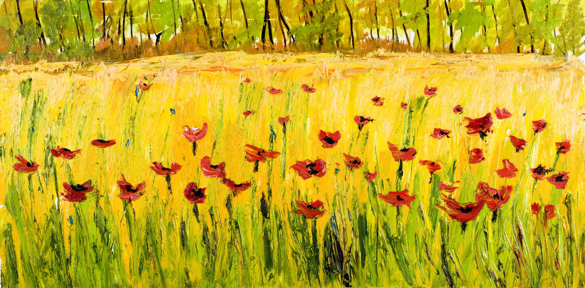 Download Field Poppy Artistic Oil Painting Art