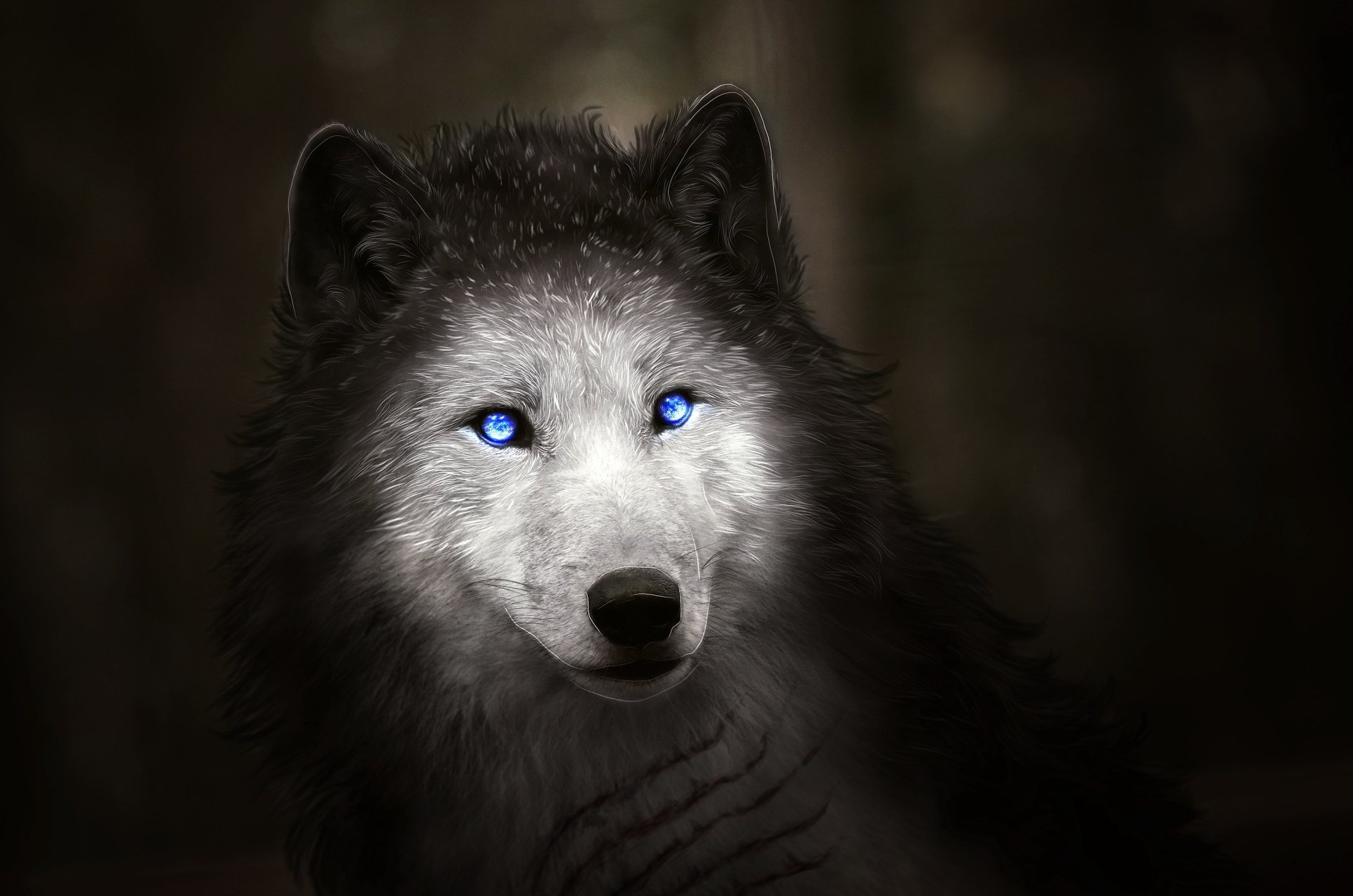 Download Blue Eyes Animal Wolf Art