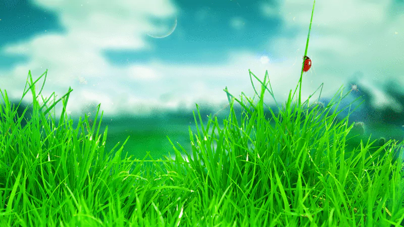 grass ladybug nature artistic Image