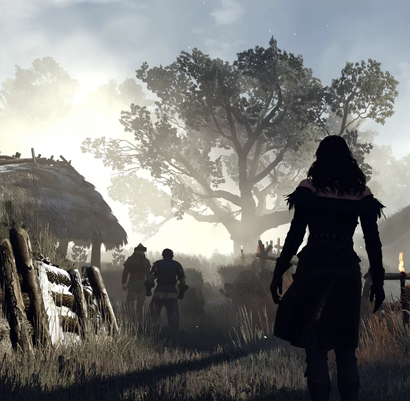 Yennefer of Vengerberg video game The Witcher 3: Wild Hunt Image