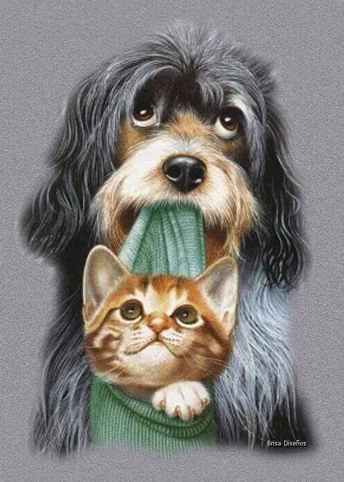 Cat & Dog Art by Brisa Diseños