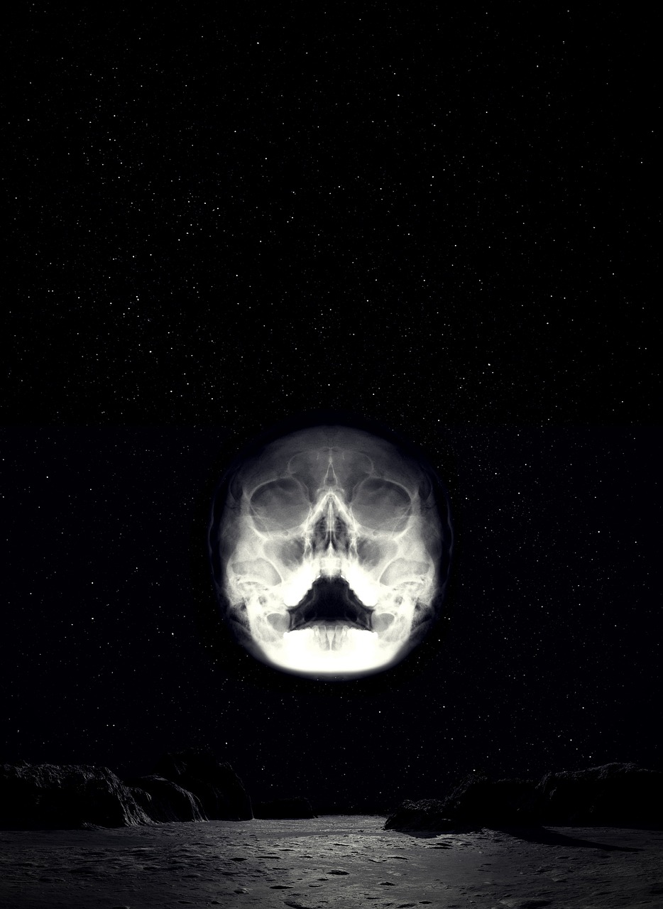 Skull Planet by Reimund Bertrams