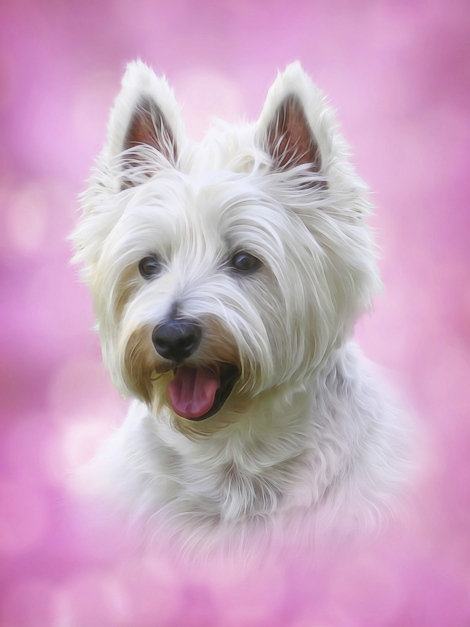 White Terrier by 177419