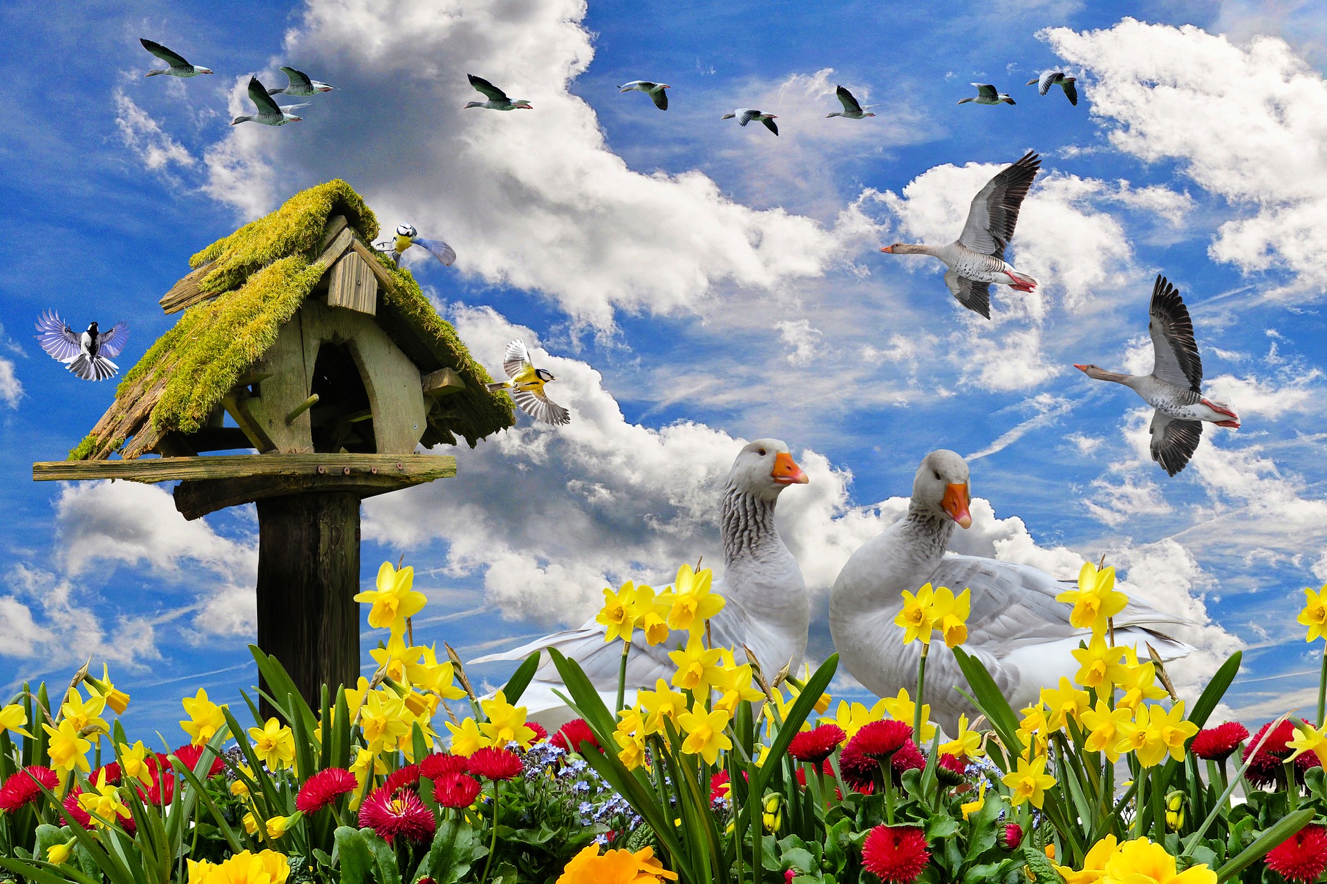 Spring Comes Alive by Gerhard Gellinger