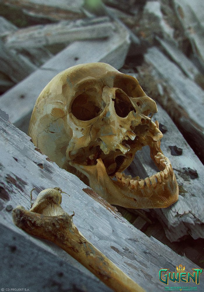 Artwork from the video game Gwent: The Witcher Card Game — a weathered skull and femur among rotting wooden planks, evoking battlefield aftermath.