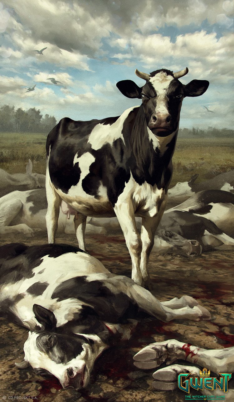 Artwork from Gwent: The Witcher Card Game depicting a black and white cow standing over a fallen cow in a misty, open field under a cloudy sky.