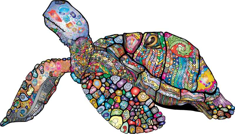  Colorful Sea Turtle, Vector Art by Gordon Johnson