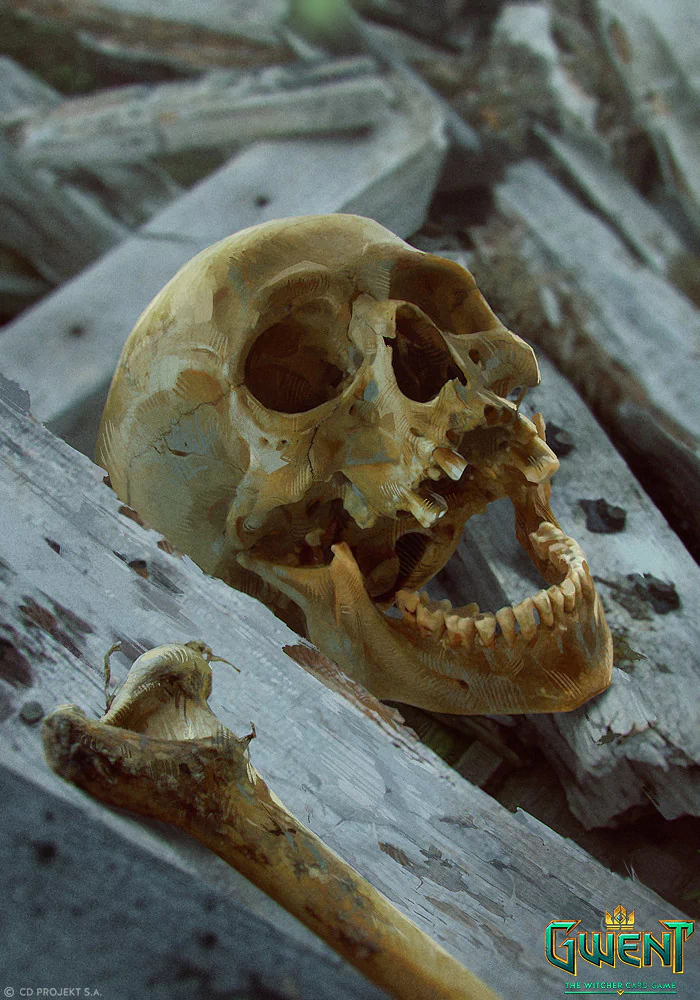Artwork from the video game Gwent: The Witcher Card Game — a weathered skull and femur among rotting wooden planks, evoking battlefield aftermath.